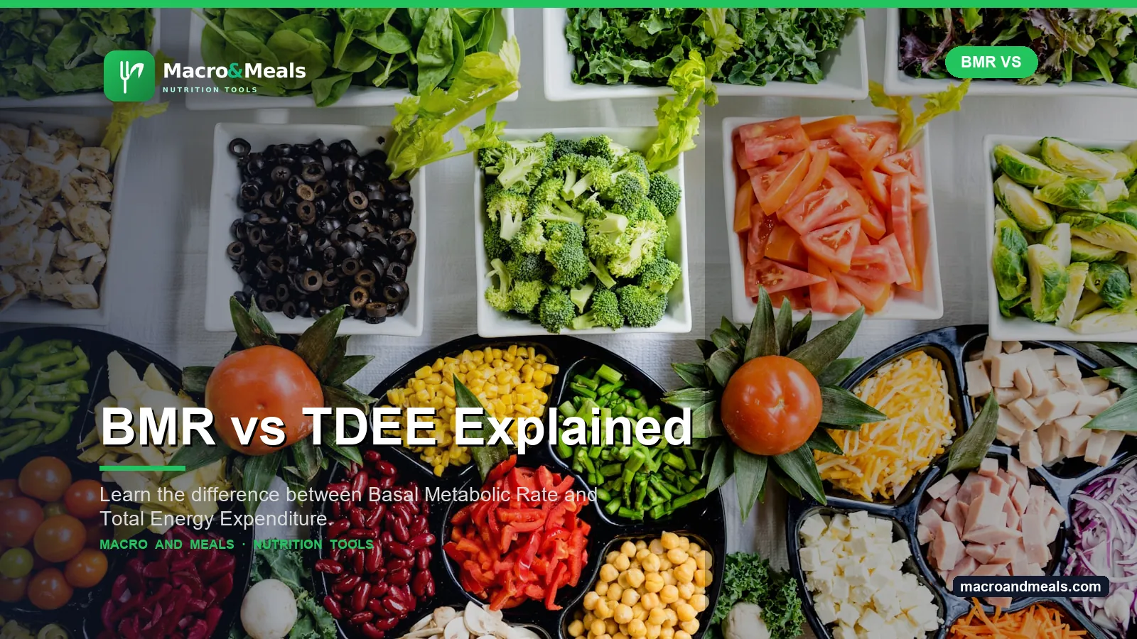 BMR vs TDEE: What Is the Difference?