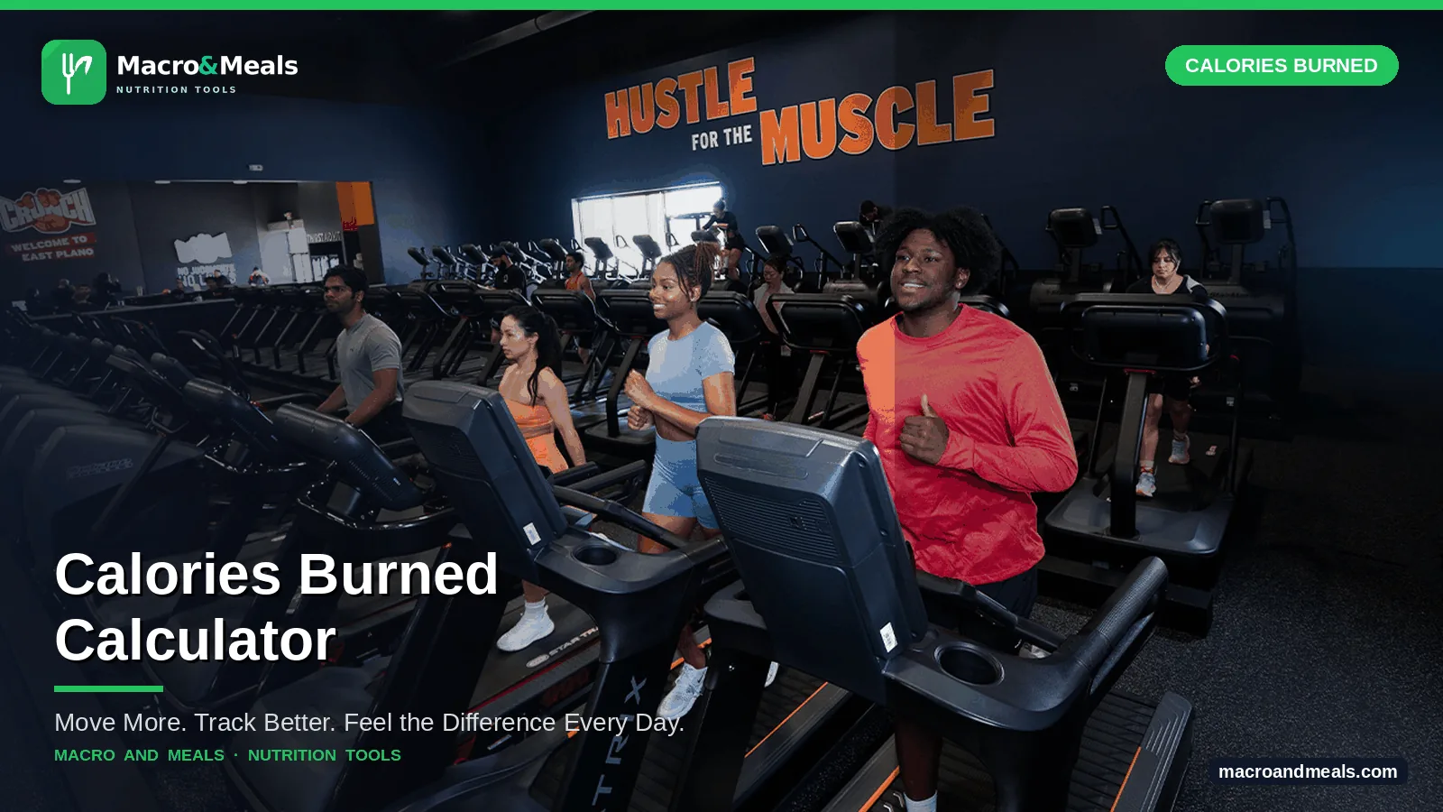 Calories Burned Calculator: 40+ Exercises Visual Guide