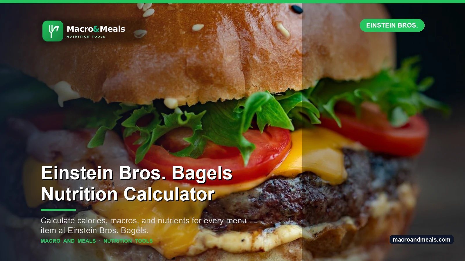 Einstein Bros. Bagels Nutrition Calculator Visual Guide