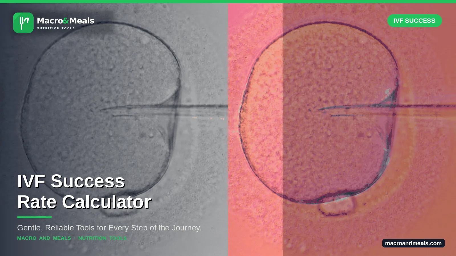 Ivf Success Rate Calculator