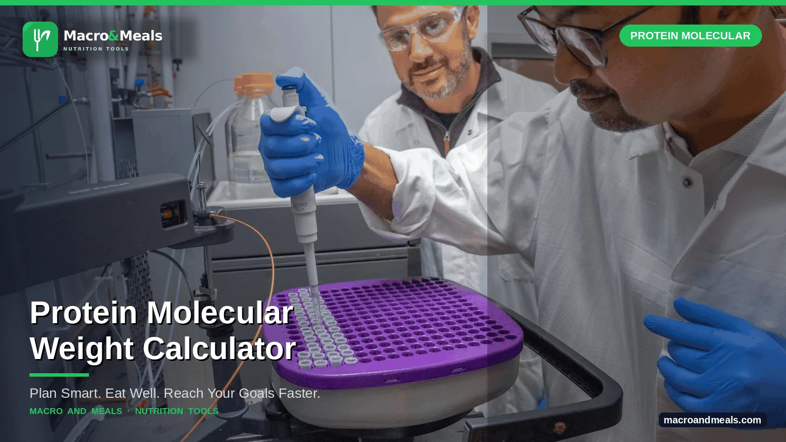 Protein Molecular Weight Calculator Visual Guide