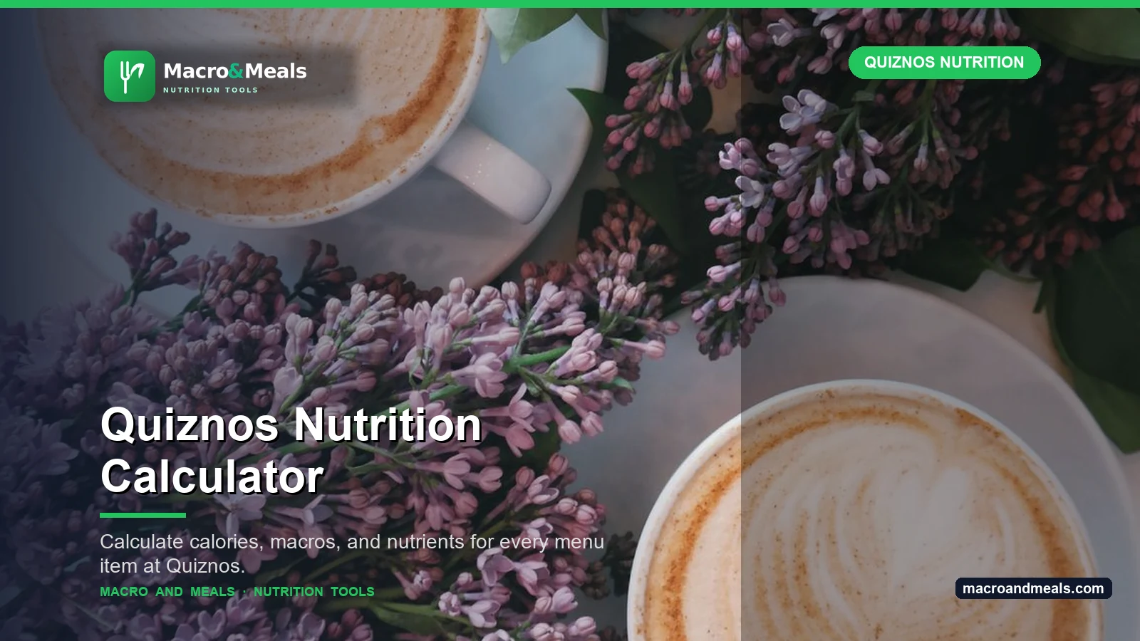 Quiznos Nutrition Calculator Visual Guide