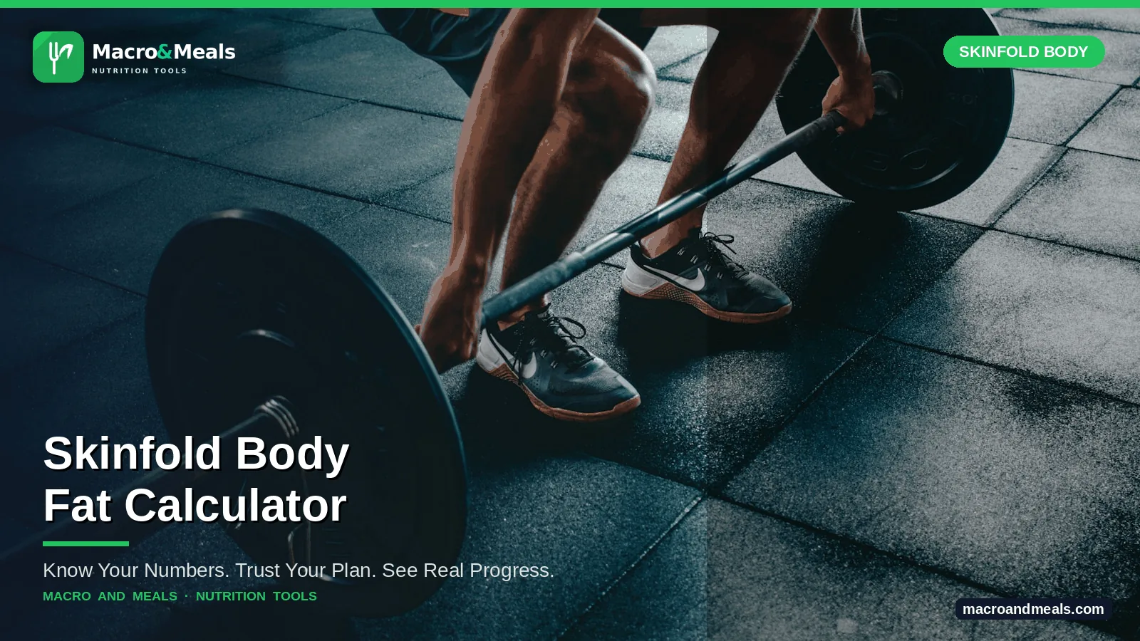 Skinfold Body Fat Calculator Visual Guide
